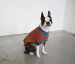 geometric dog sweater